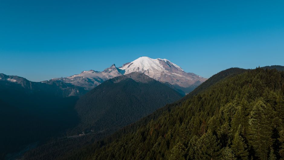 Breathtaking view of Mount Rainier surrounded by lush forests under a clear blue sky.
