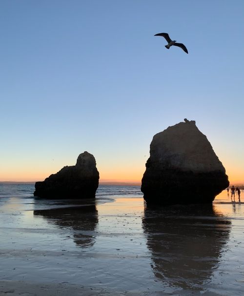 Free Silhouette of rocks and flying bird at sunset in Faro, Portugal, creating a serene beach ambiance. Stock Photo