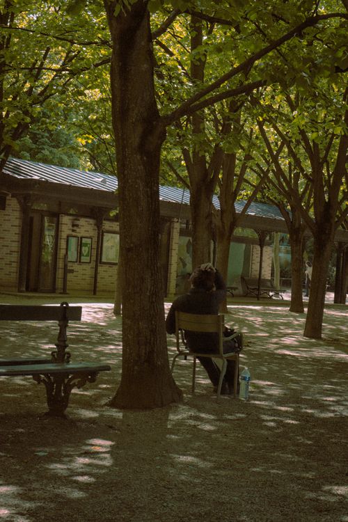 Free Serene scene of a person sitting under lush green trees in a Paris park. Stock Photo