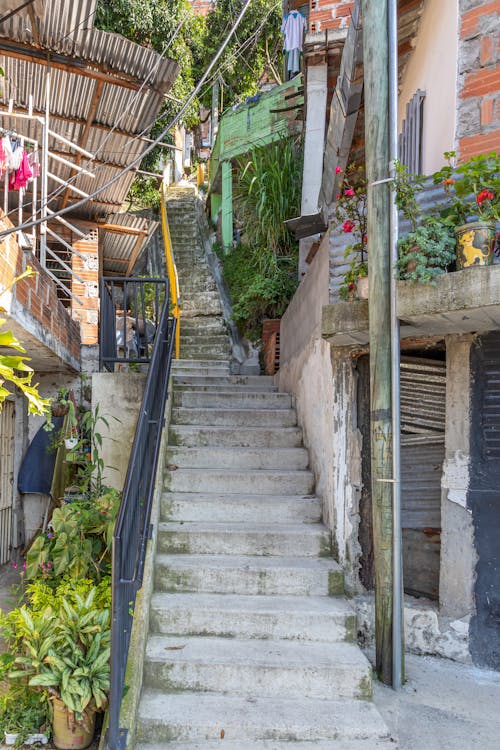 Outdoor Concrete Staircase of a House