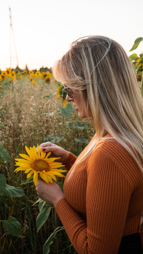 Gratis stockfoto met bloemen, detailopname, gele bloem