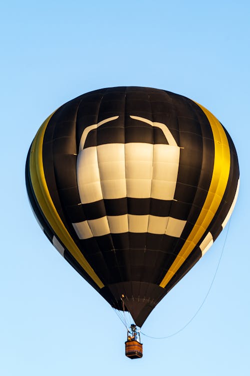 The Hot Air Balloon in the Blue Sky 