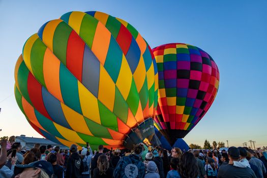 A People Looking a Colorful Hot Air Balloons