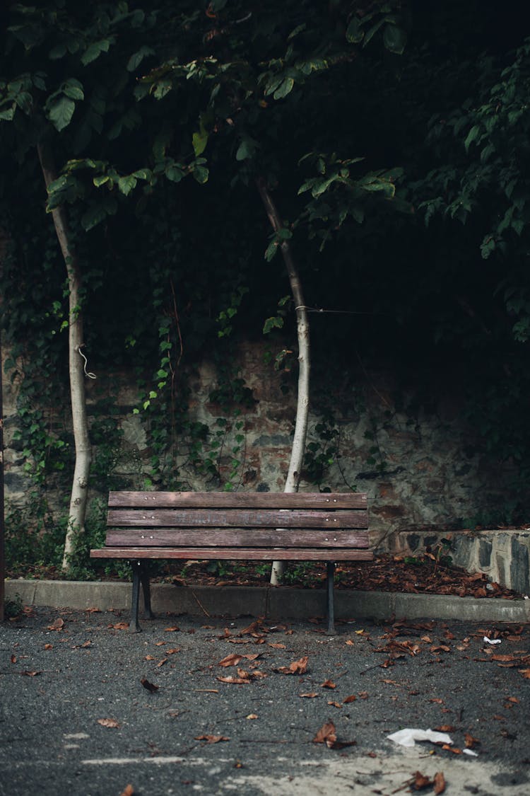 Empty Wooden Bench In A Park In Autumn 