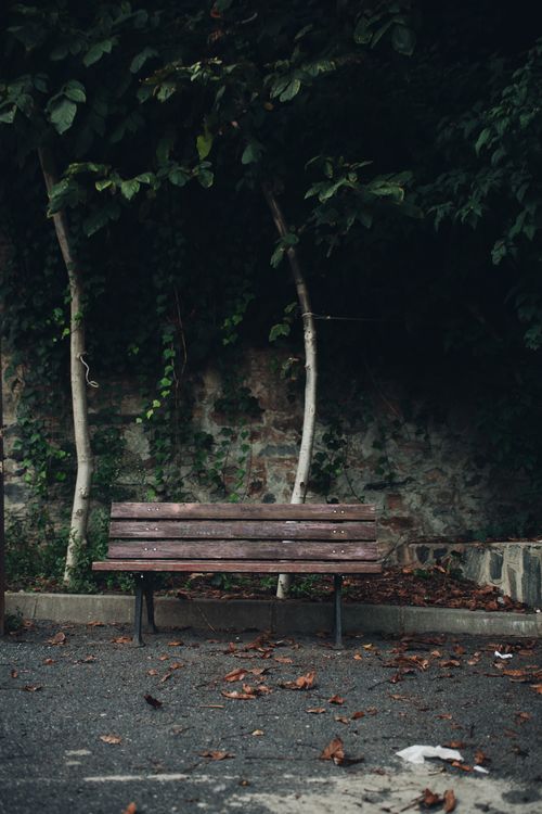 Free A solitary wooden bench sits amidst fallen leaves in a quiet park, evoking autumn serenity. Stock Photo