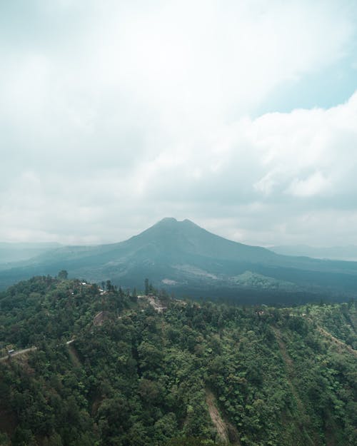 Foto Aérea De Montaña Y Bosque