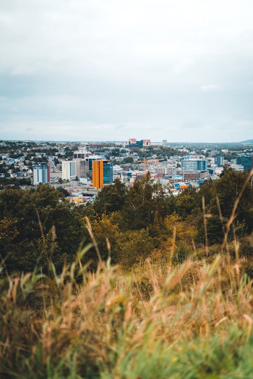 Gratis stockfoto met bewolking, bomen, plaats