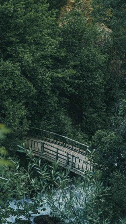 Aerial Photography of Wooden Bridge in the Forest