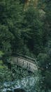 Aerial Photography of Wooden Bridge in the Forest