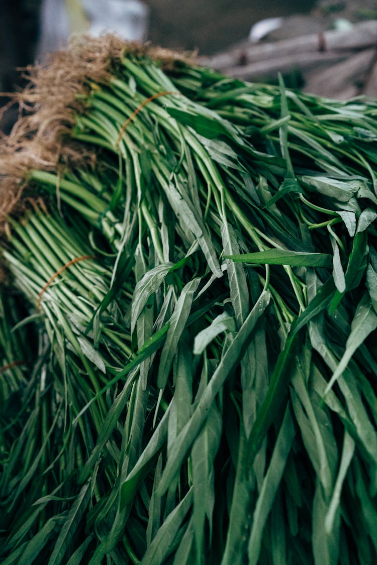 A Close-Up Shot Of Bundles Of Water Spinach