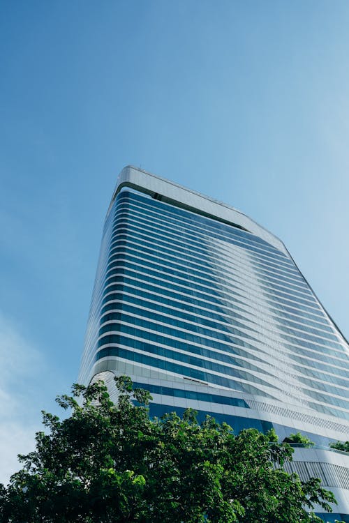 View of a Tall Building from Below