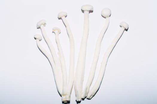 Close-up of white enoki mushrooms on a plain white background captured in studio lighting.