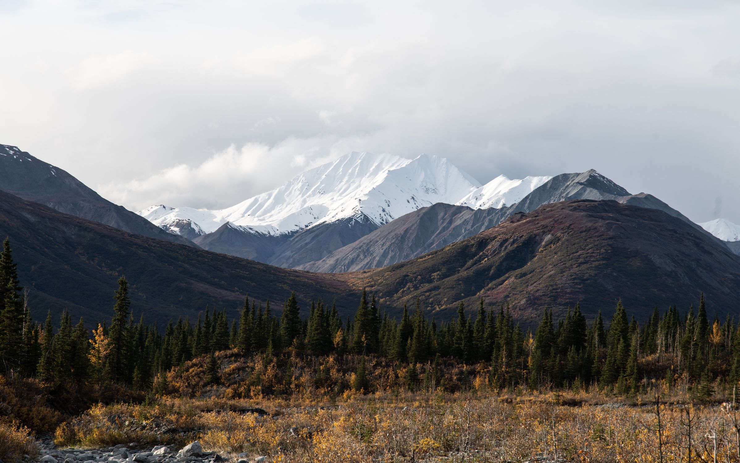 Breathtaking view of snow-capped mountains and forest in Alaska, showcasing nature's tranquility and beauty.