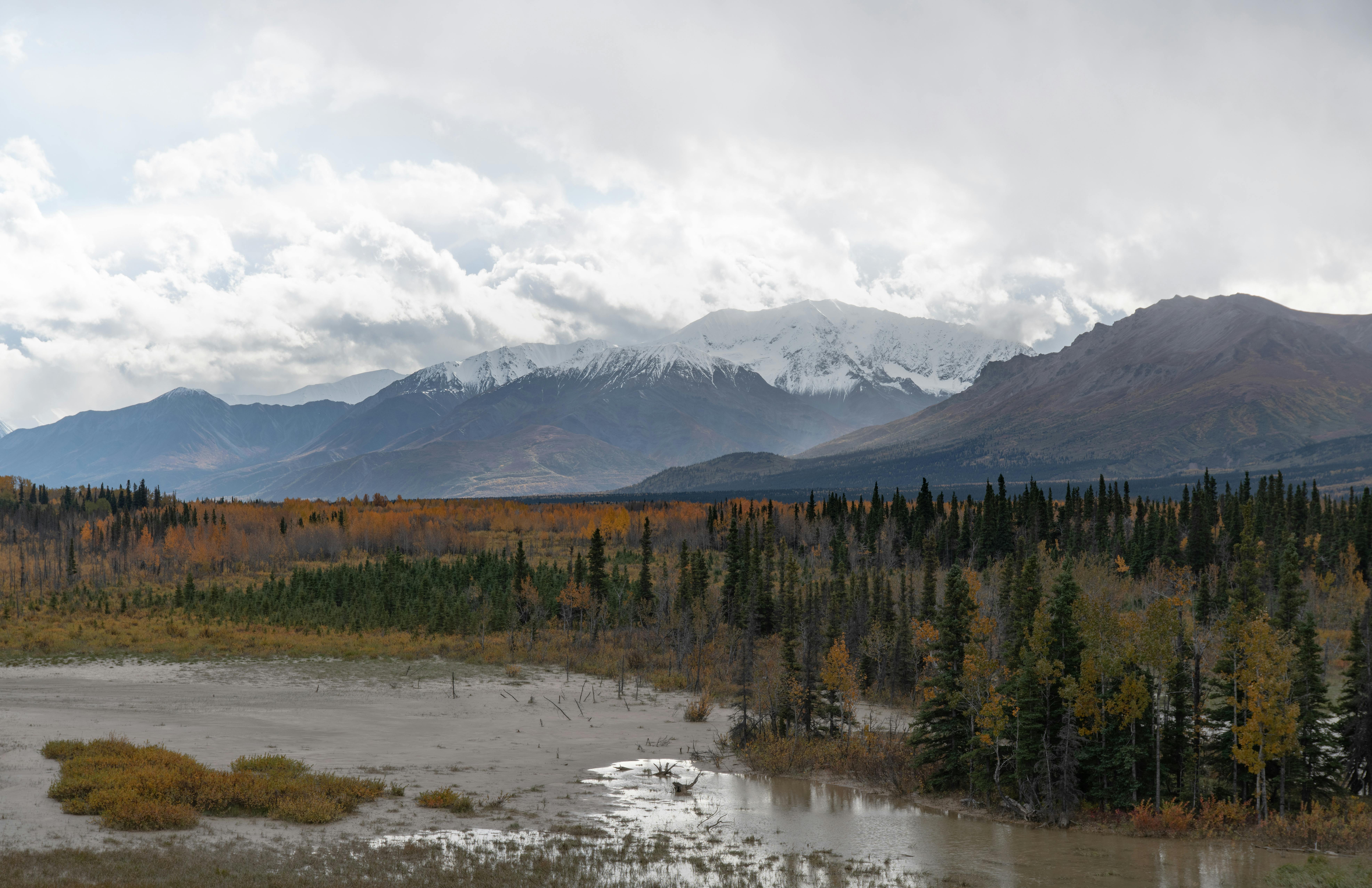 Alaska attorneys to provide free legal help on MLK Day holiday — Photo by John De Leon on Pexels