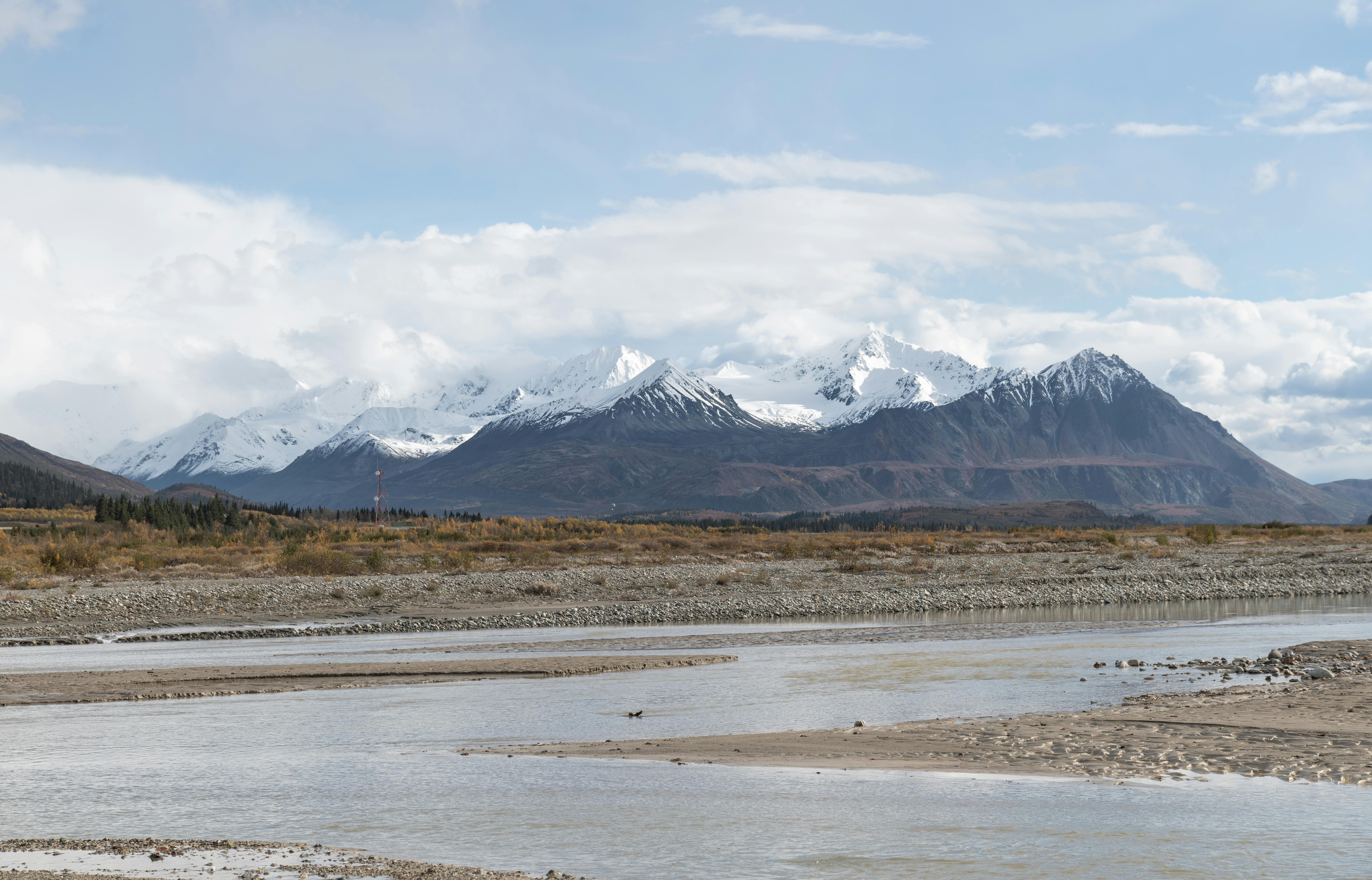 Alaska attorneys to provide free legal help on MLK Day holiday — Photo by John De Leon on Pexels