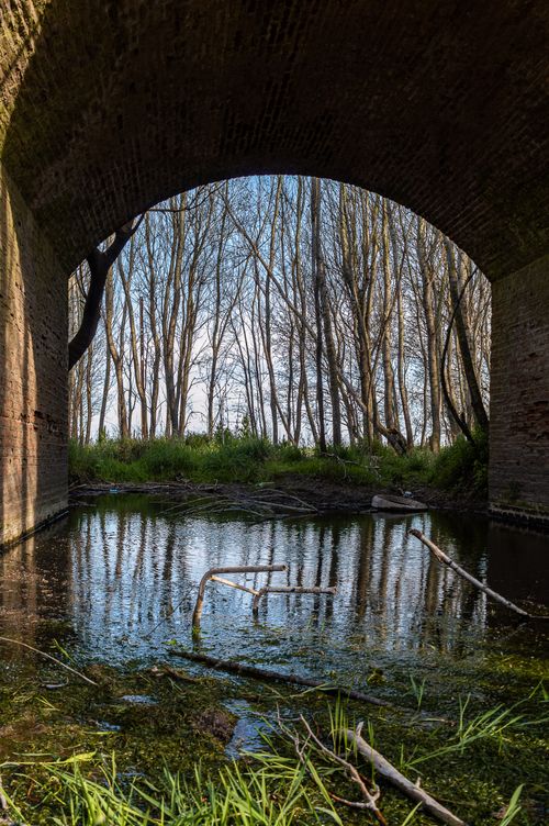 Free Peaceful archway scene with a canal and bare trees reflecting in Chapadmalal, Argentina. Stock Photo