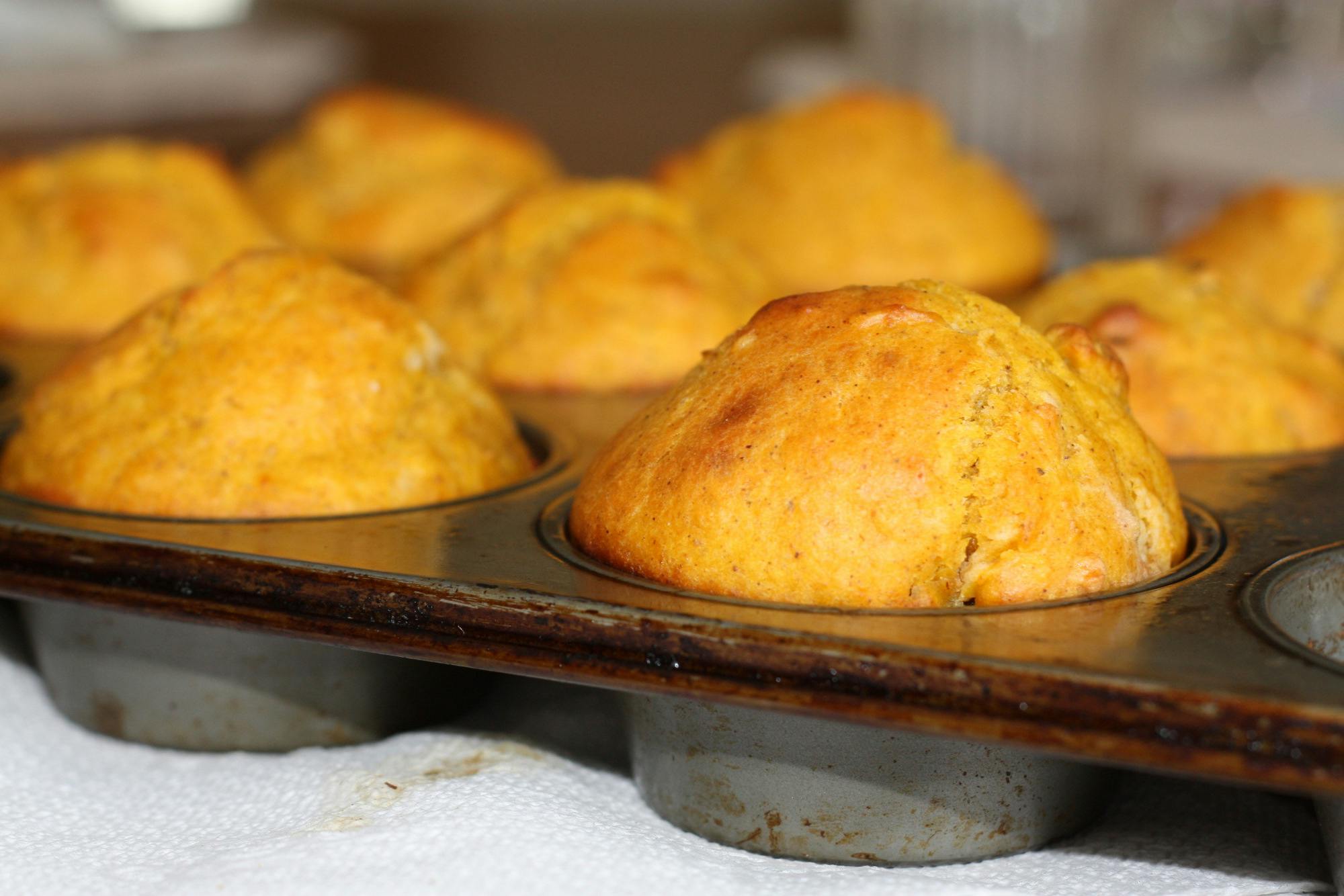 Free stock photo of baked, baked goods, cooking