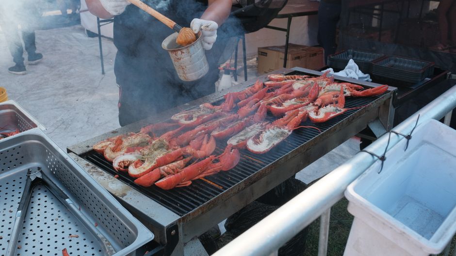 Seafood Festival Brisbane