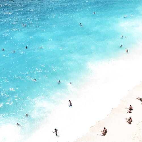 Group of People on Beach