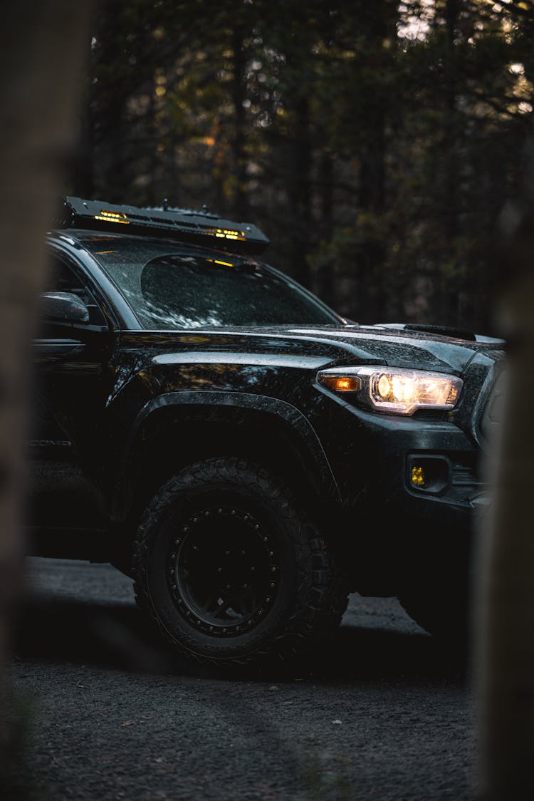 Black SUV Car In A Forest