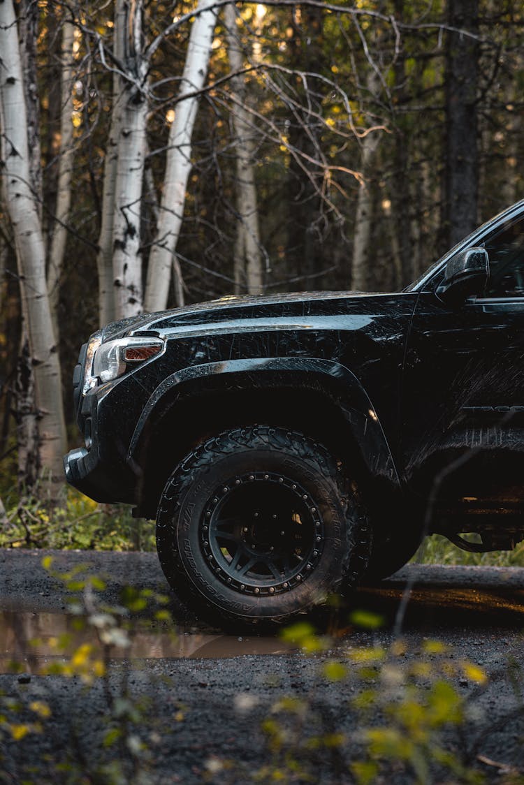 Black SUV Car In A Forest 