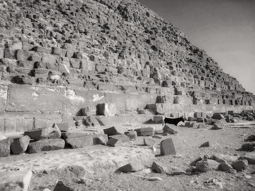 吉薩, 埃及, 紀念碑 的 免費圖庫相片