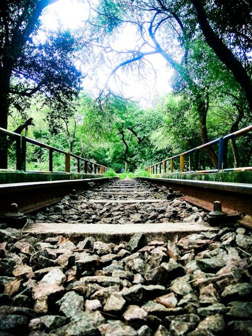 Kostenloses Stock Foto zu bahngleis, brücke, eisenbahn