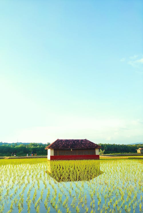 Gratis stockfoto met akkerland, blauwe lucht, dorp