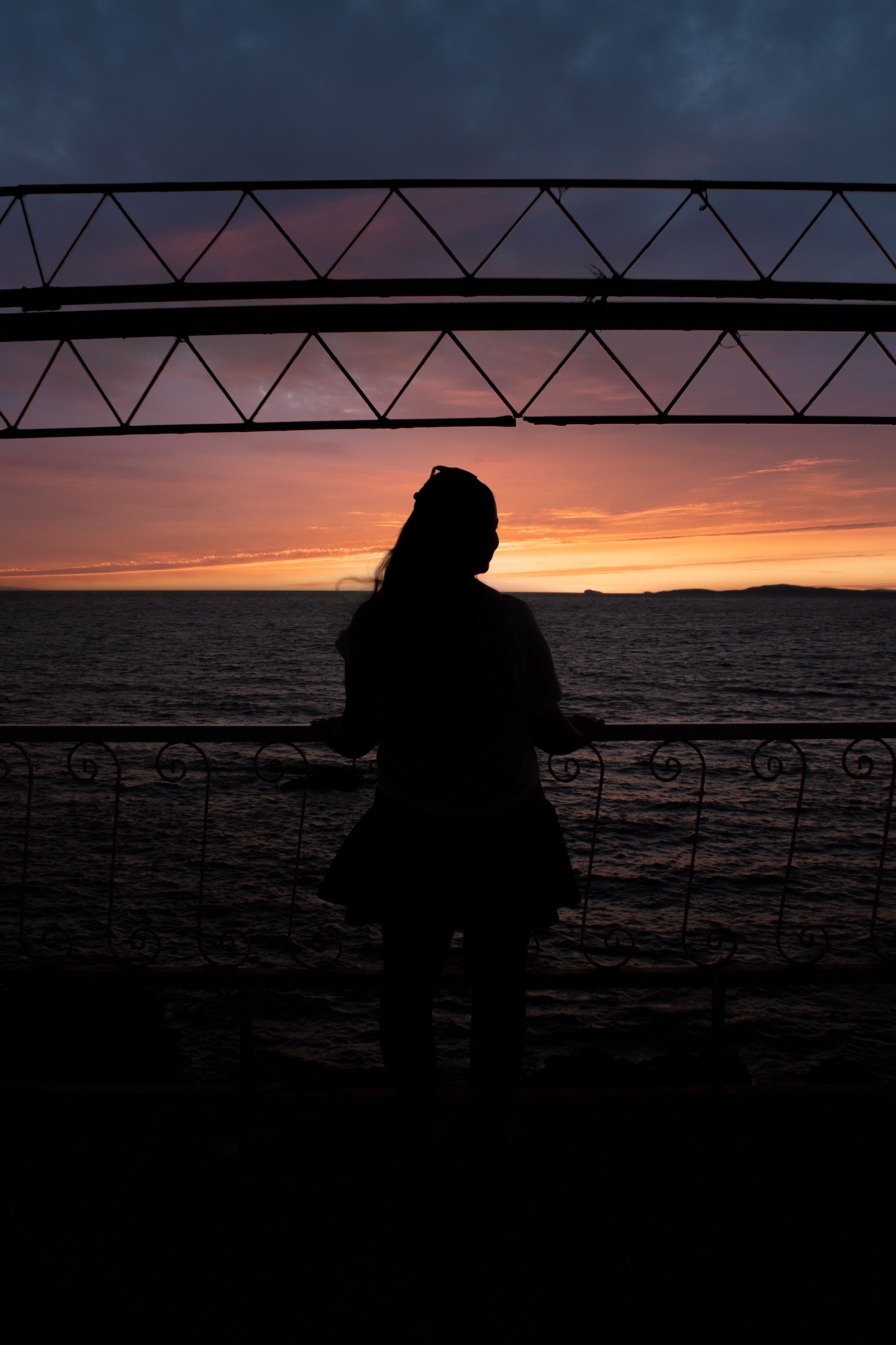 Silhouette of Woman Standing Near Fence during Sunset · Free Stock Photo