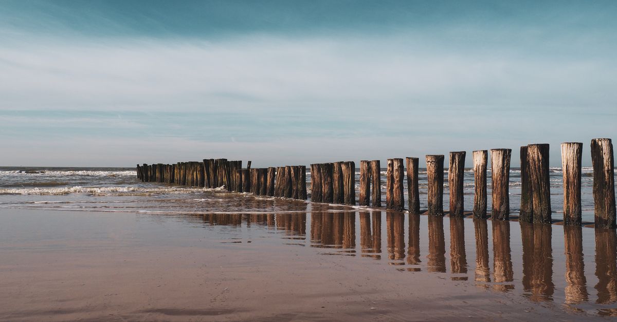 Tranquil beach scene at Bergen aan Zee with wooden breakwater and serene sea reflections.
