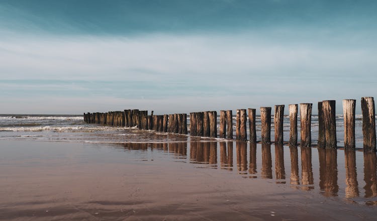 Wooden Breakwater On Sea Shore