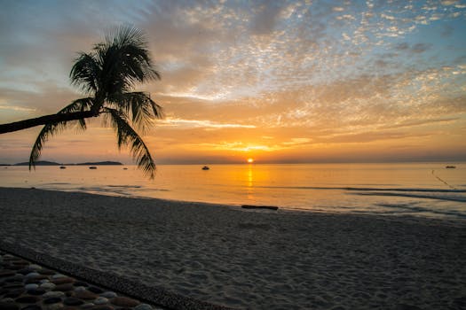 Captivating sunset over a tranquil beach with palm silhouette, showcasing a golden sky.