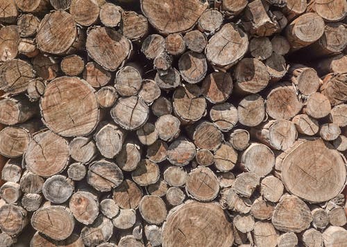 Foto stok gratis kayu bakar, kayu gelondongan, merapatkan