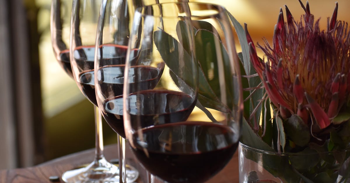 Does alcohol thin your blood and make you bleed more