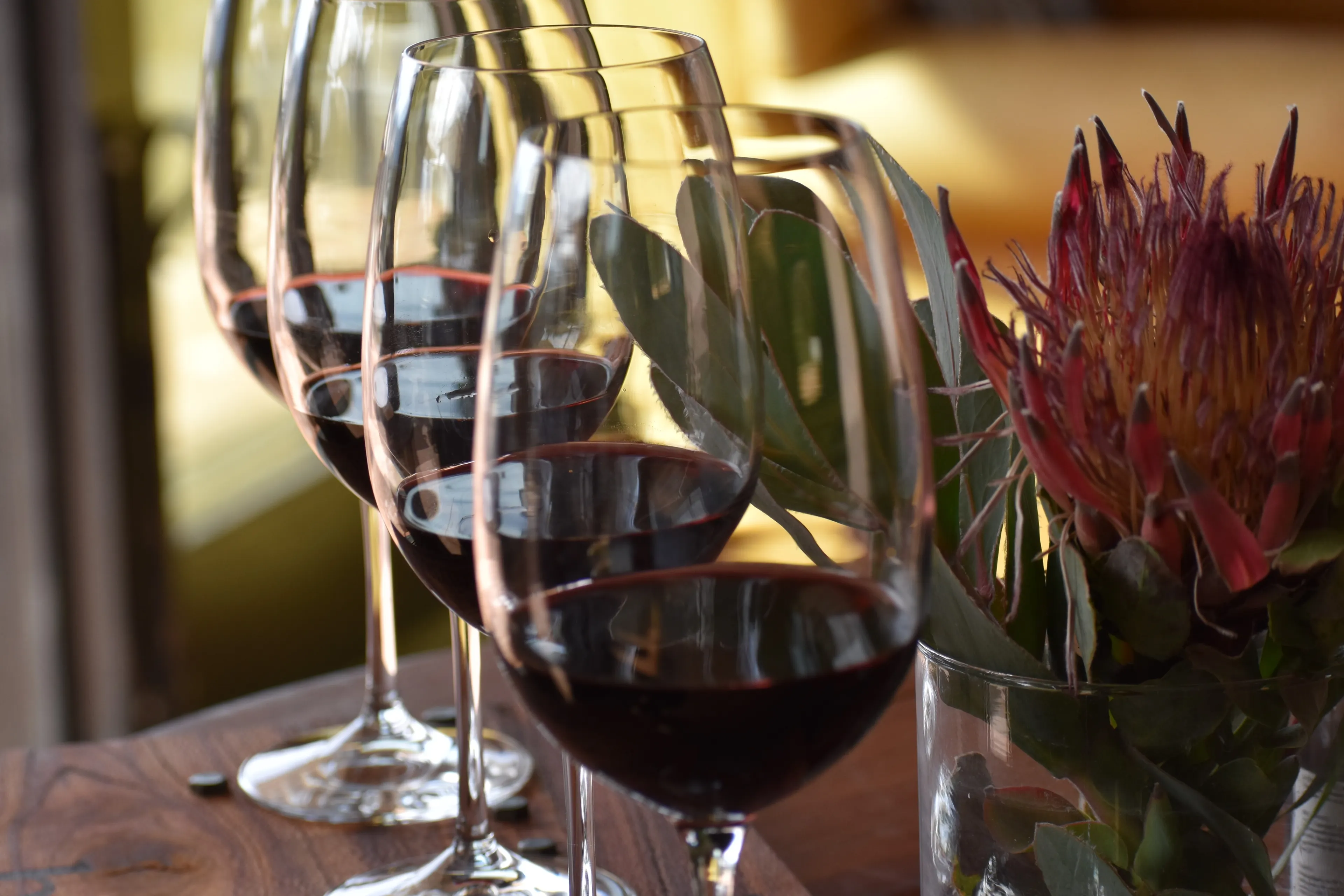 Close-up of glasses of wine catching the light at a tasting
