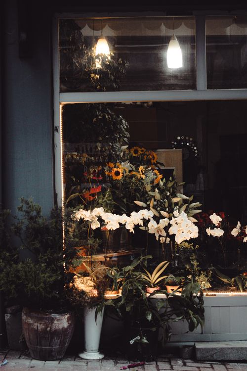 Free Elegant floral arrangements in a flower shop window glowing warmly at night. Stock Photo