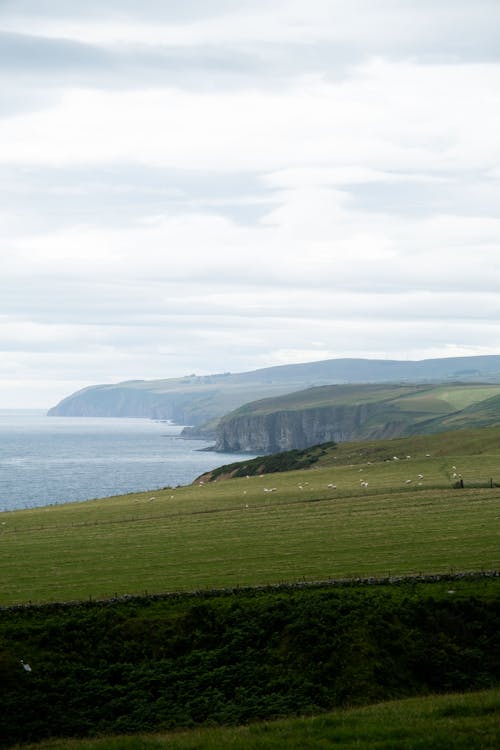 Photos gratuites de bord de mer, caithness, champ