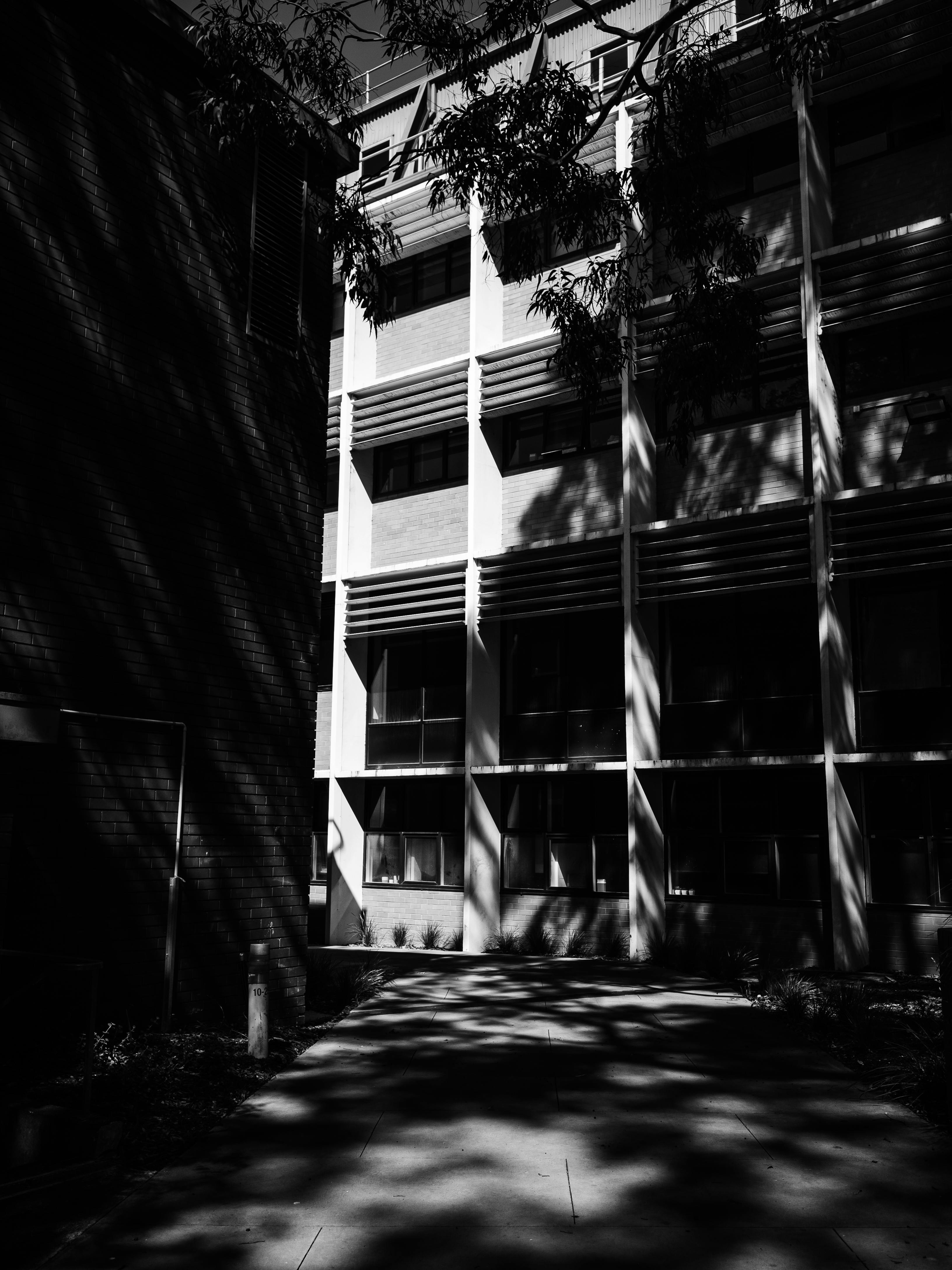 Exterior of a Building in a City · Free Stock Photo