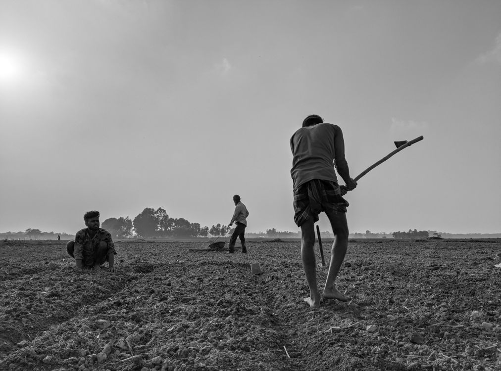 Men Working in the Field Using Hand Tools · Free Stock Photo