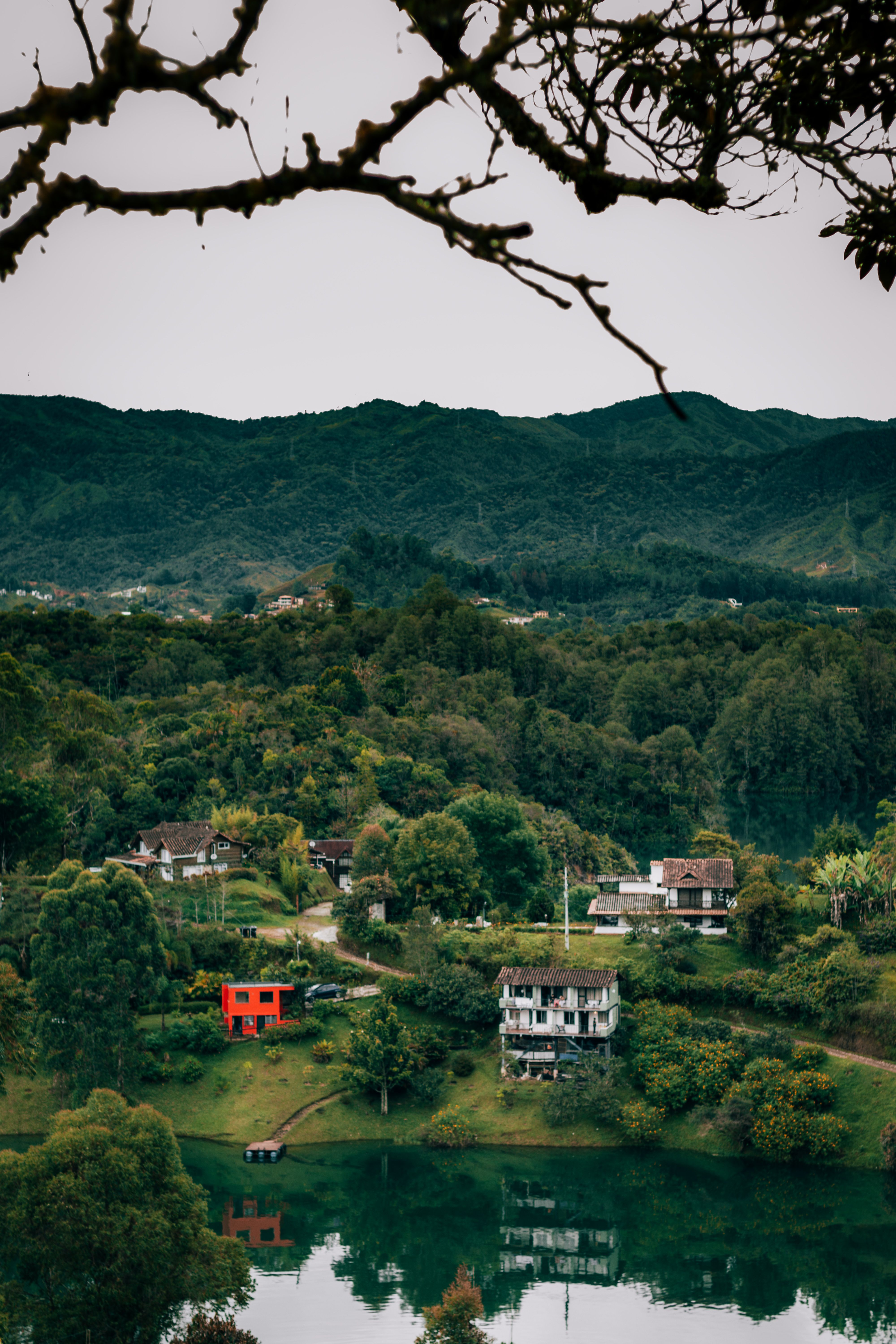 Foto de stock gratuita sobre arboles, bosque, naturaleza, paisaje ...