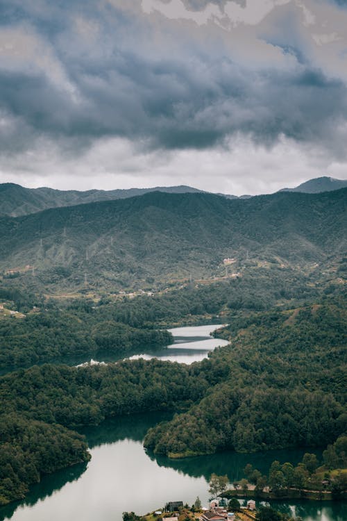 Green Trees Near Lake Under Cloudy Sky