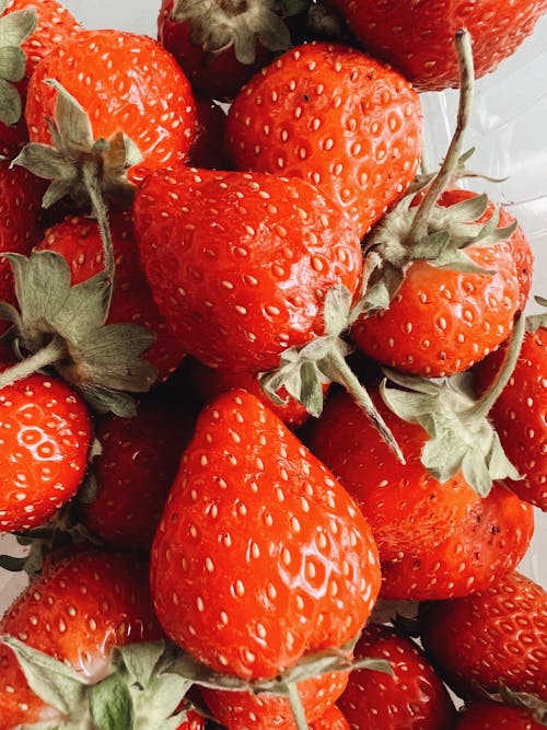 Foto profissional grátis de fechar-se, fruta, morangos