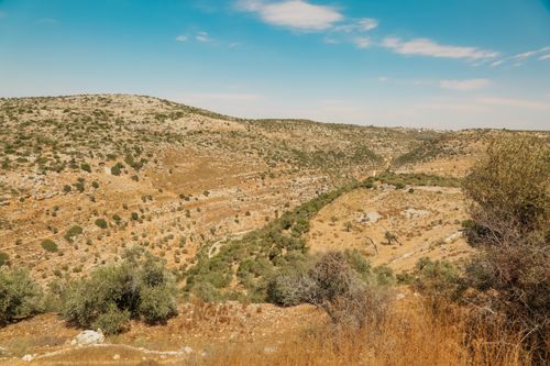 Free Scenic view of a vast, dry, mountainous landscape with scrub bushes under a clear blue sky. Stock Photo