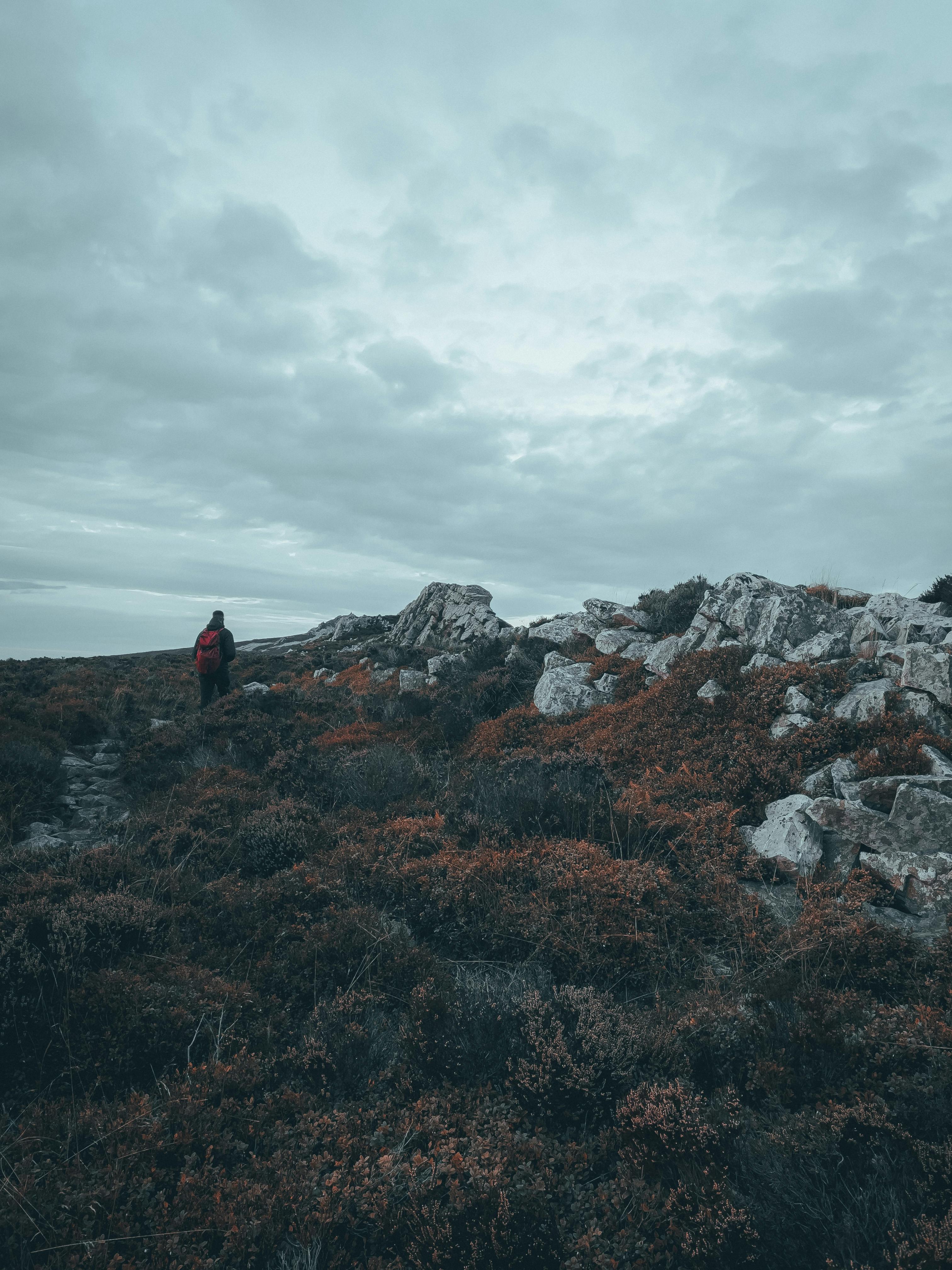 Farmhouse Landscaping Plants Photos, Download The BEST Free Farmhouse