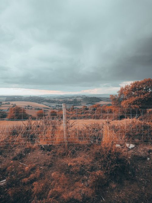 Free A serene autumn landscape featuring a rustic mesh fence and rolling hills under an overcast sky. Stock Photo