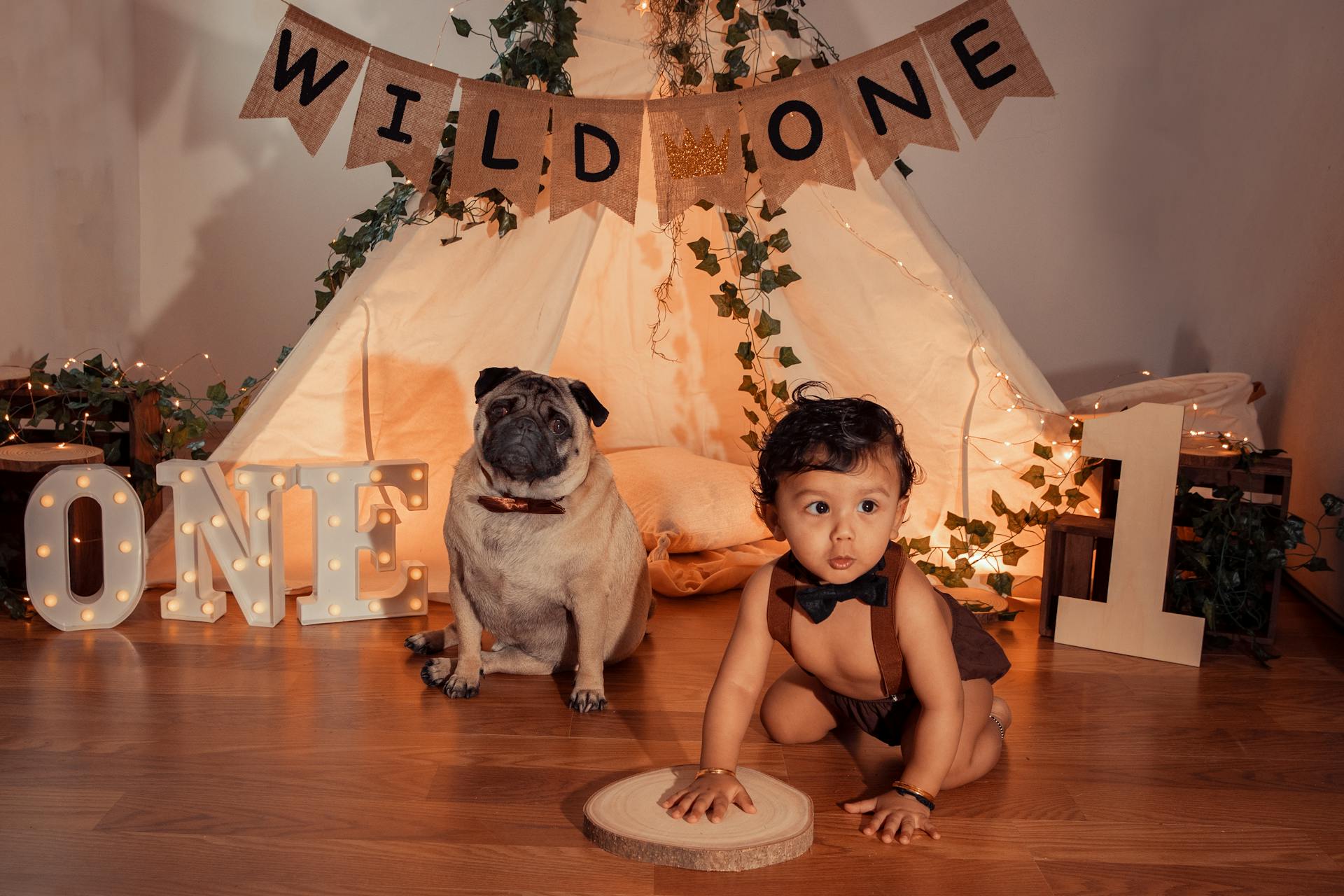 A Boy in Brown Shorts Sitting Beside a Pug Dog