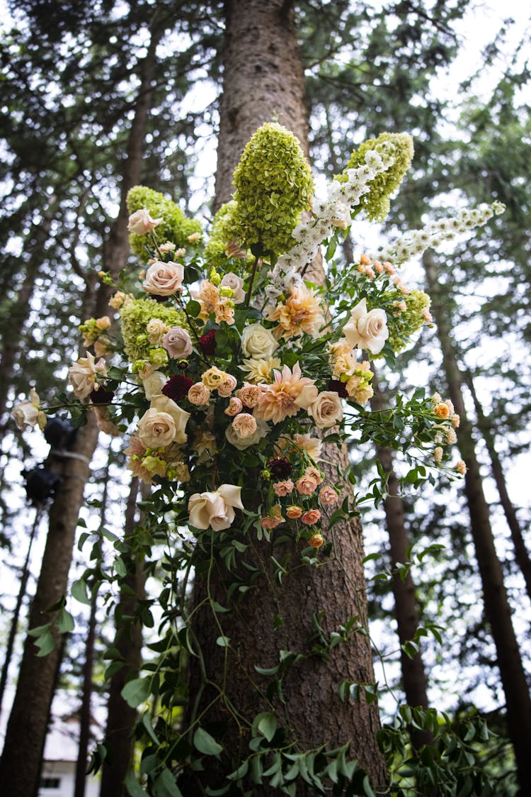 Beautiful Fresh Flowers On A Tree Trunk