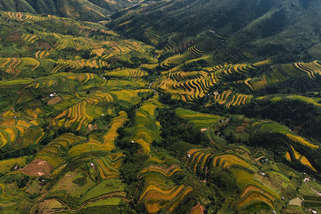 Aerial Photography of Beautiful Banaue Rice Terraces · Free Stock Photo