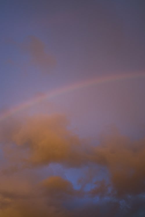 Low Angle Shot of a Beautiful Sky with Thick Clouds