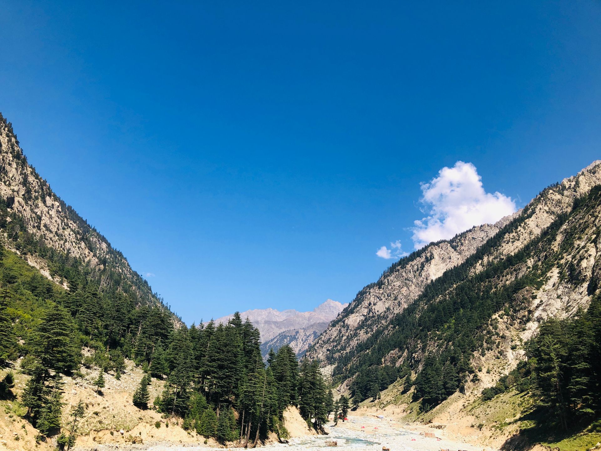 Explore a tranquil mountain valley with lush greenery and a clear blue sky, perfect for nature lovers.